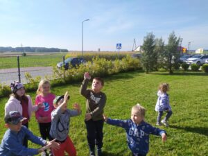 IMG_37 (Copy)
