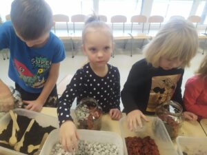 IMG_11 (Copy)