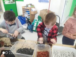 IMG_20 (Copy)