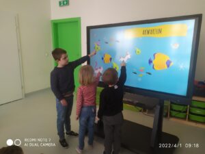 IMG_11 (Copy)