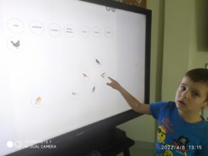 IMG_4 (Copy)