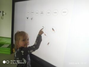 IMG_5 (Copy)
