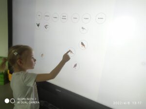 IMG_7 (Copy)