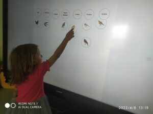 IMG_9 (Copy)