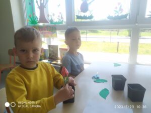 IMG_10 (Copy)