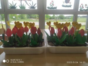 IMG_14 (Copy)
