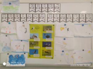 IMG_27 (Copy)