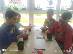 IMG_8 (Copy)