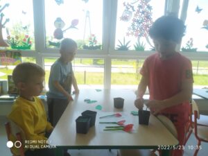 IMG_9 (Copy)