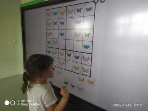 IMG_16 (Copy)