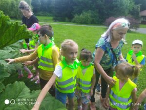 IMG_2 (Copy)