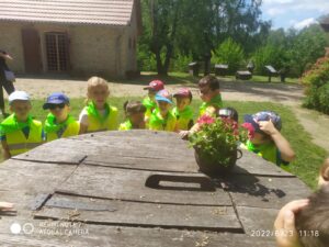 IMG_20 (Copy)