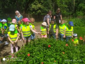 IMG_22 (Copy)