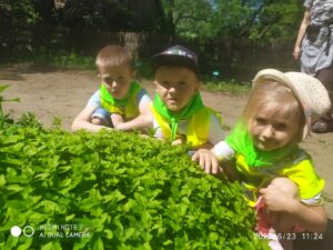 IMG_23 (Copy)