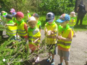 IMG_27 (Copy)