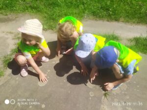 IMG_29 (Copy)