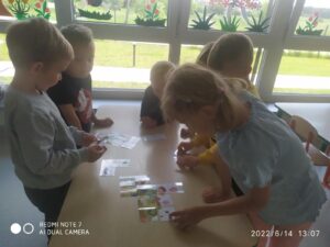 IMG_3 (Copy)