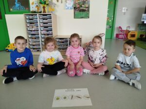 IMG_20250408_125026 (Copy)