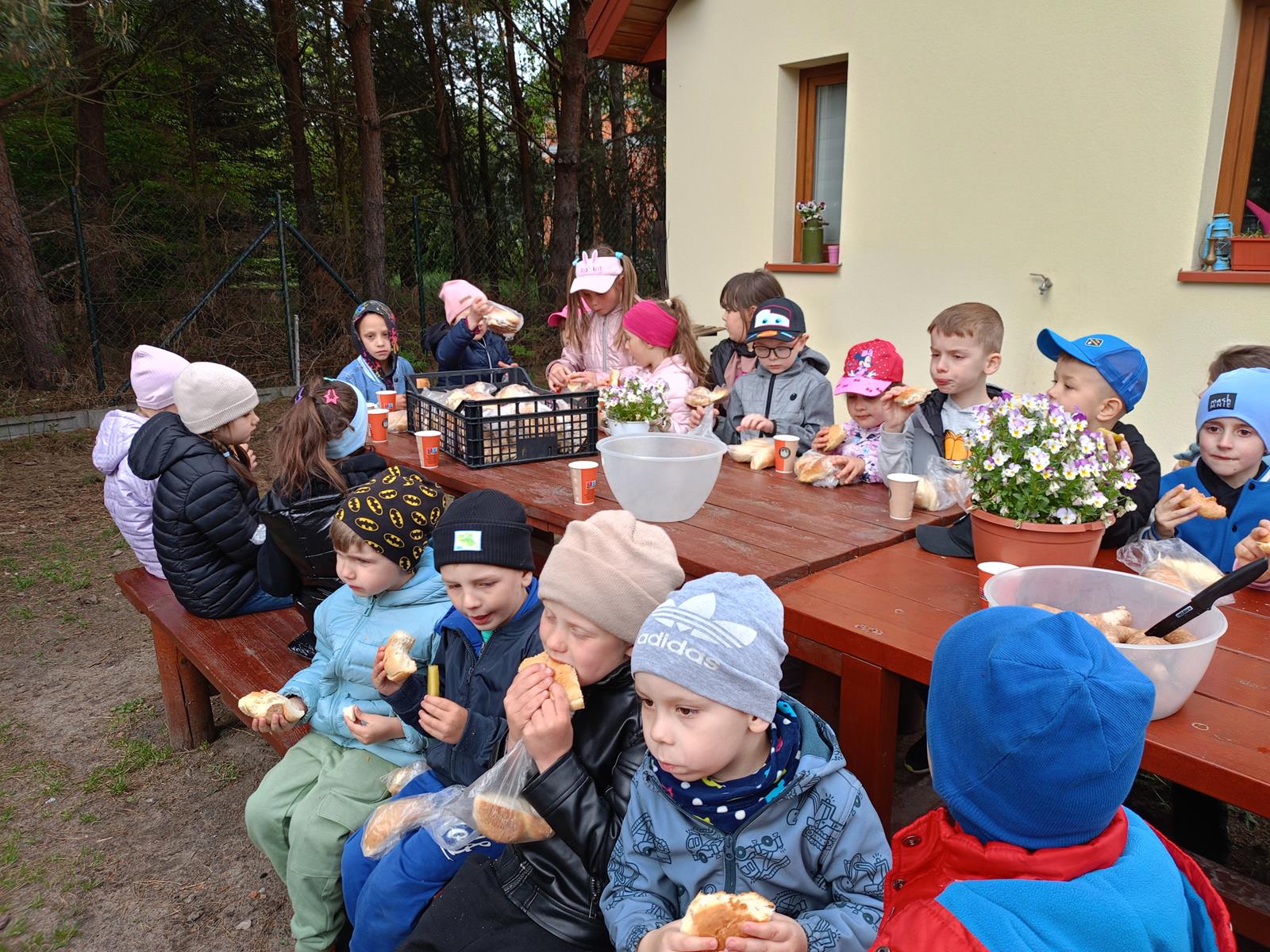 IMG20250505124335 (Copy)