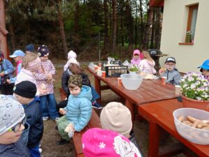 IMG20250505124955 (Copy)