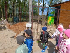 IMG20250506103518 (Copy)