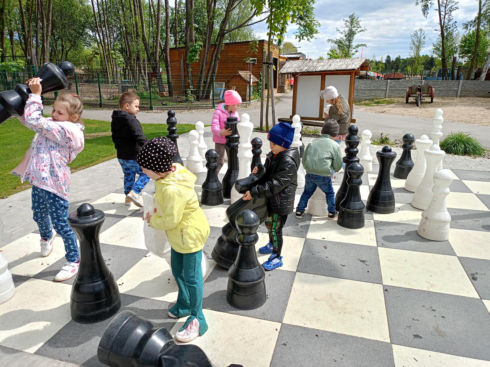 IMG20250506112902 (Copy)