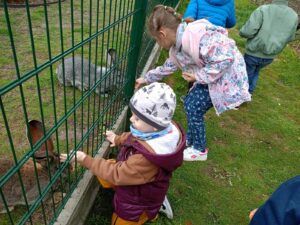 IMG20250506114146 (Copy)