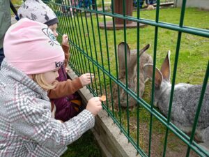 IMG20250506114259 (Copy)