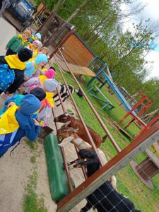 IMG20250512102922 (Copy)