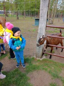 IMG20250512103138 (Copy)