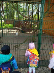 IMG20250512112648 (Copy)