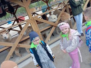 IMG_20250512_105950 (Copy)