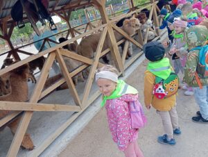 IMG_20250512_110312 (Copy)