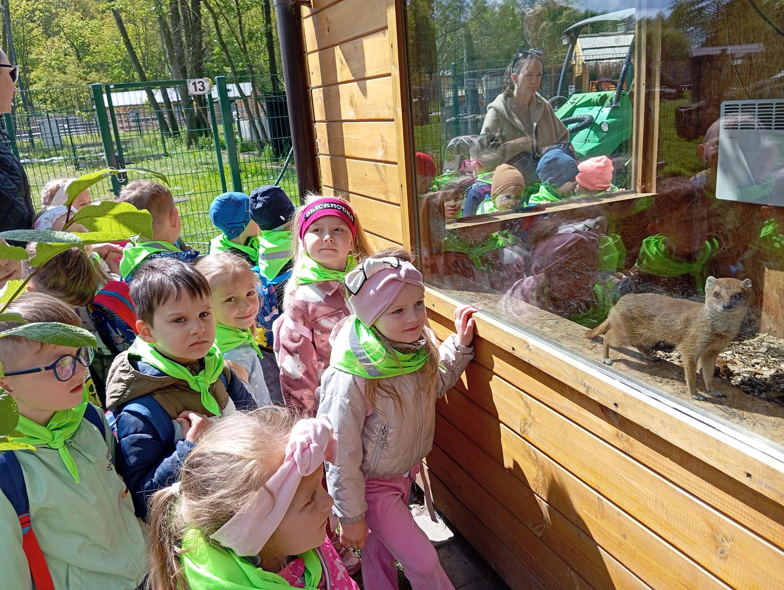 IMG_20250512_112616 (Copy)