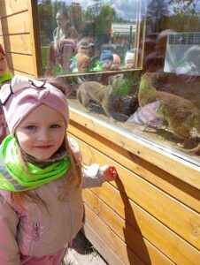 IMG_20250512_112632 (Copy)