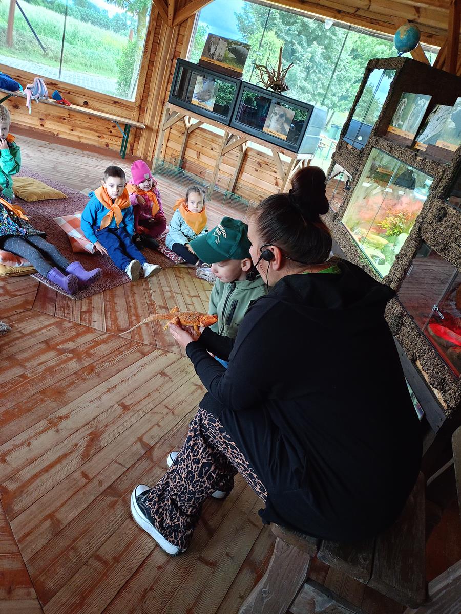 IMG20260611113128 (Copy)