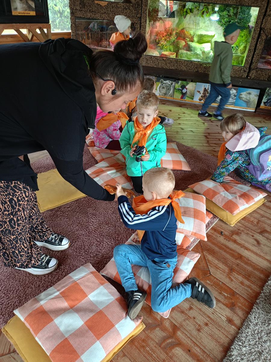 IMG20260611113254 (Copy)