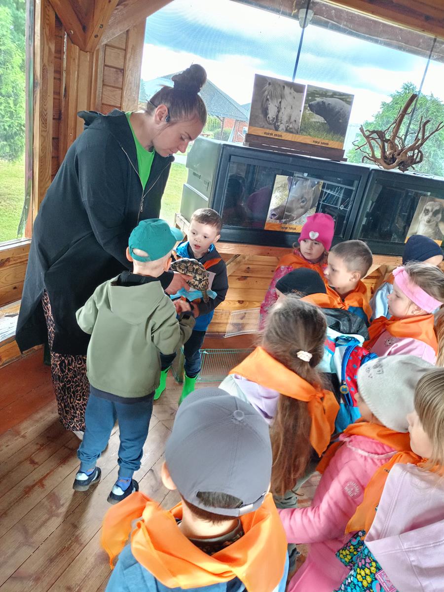 IMG20260611114859 (Copy)