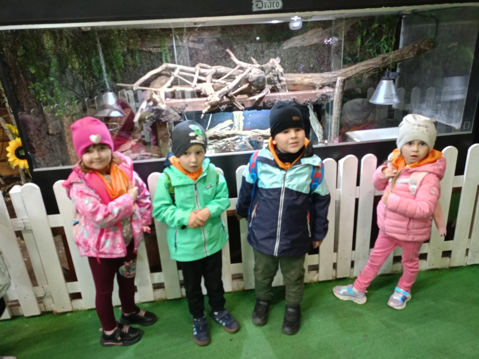 IMG20260611131716 (Copy)