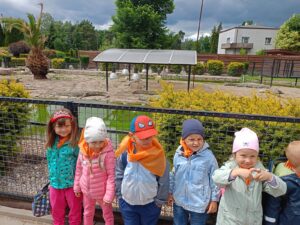 IMG20260611132402 (Copy)