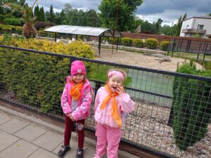IMG20260611132432 (Copy)