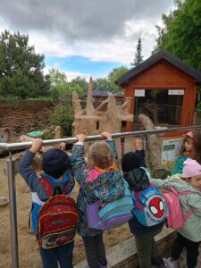 IMG20260611133434 (Copy)